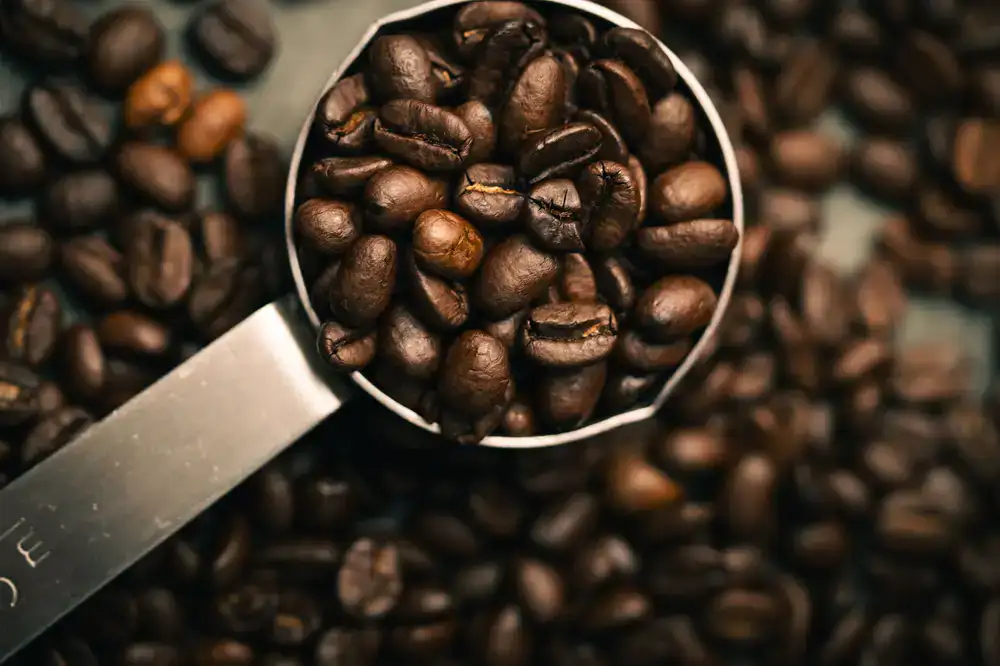Dark roasted coffee beans in a measuring scoop
