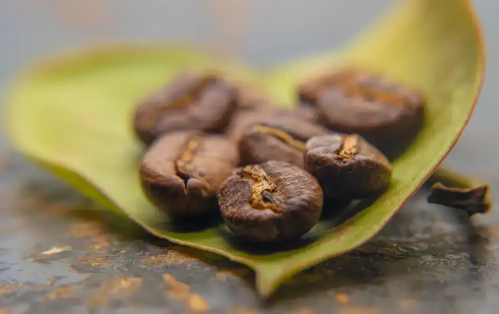 Single Origin Colombia coffee bag