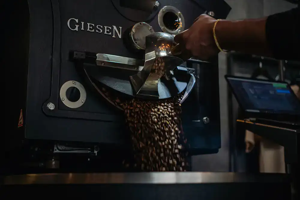 Our master roaster carefully inspecting coffee beans inside the roastery drum